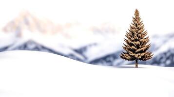 A solitary evergreen tree stands on a snowy landscape with distant mountains in the background photo