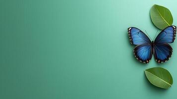 A vibrant blue butterfly perched on green leaves against a soft teal background photo
