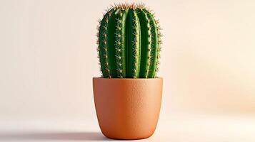 A vibrant cactus in a textured terracotta pot against a soft gradient background photo