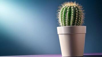 A vibrant cactus in a modern pot, illuminated by soft lighting against a gradient background photo