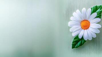 A vibrant daisy flower with green leaves against a soft, blurred background, symbolizing freshness photo
