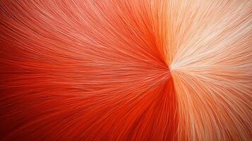 Abstract swirl of red and white hair-like textures creating a vibrant visual effect photo