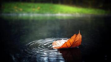 Autumn leaf floating on calm water surface, ripples forming, serene natural setting photo