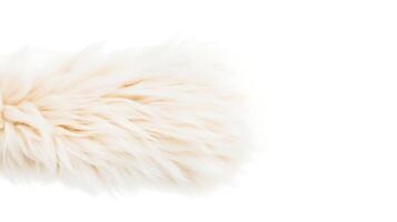 Close-up of a soft, fluffy white fur texture against a plain background, ideal for design use photo