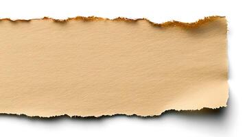 Close-up of a torn beige paper strip with a textured edge against a white background photo