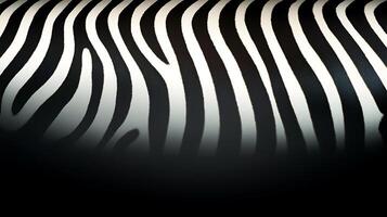 Close-up of a zebra's black and white striped coat, emphasizing unique patterns and textures photo
