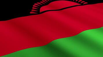 Malawi Flag Waving Gently in the Wind, Close-Up Full-Frame Perspective, Soft Fabric Texture, Slow Motion, Natural Movement, Waving Flag Background video