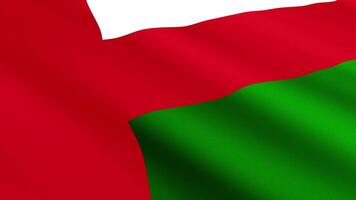 Oman Flag Waving Gently in the Wind, Close-Up Full-Frame Perspective, Soft Fabric Texture, Slow Motion, Natural Movement, Waving Flag Background video