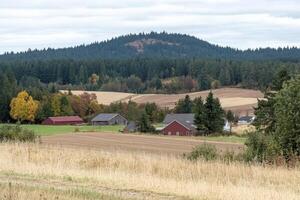 A farm with a red barn and trees in the background photo
