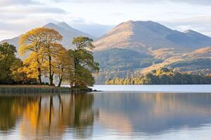 A lake with trees and mountains in the background photo
