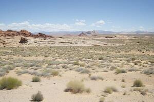 A desert area with a few bushes and rocks photo