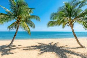 Two palm trees on a sandy beach with blue water photo