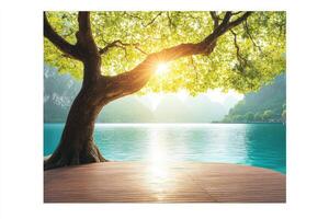 A tree in front of a lake with the sun shining photo