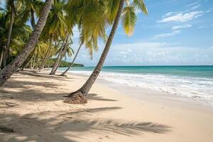 A sandy beach with palm trees and blue water photo
