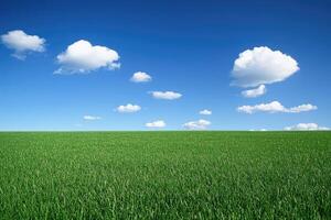 A green field with some clouds in the sky photo