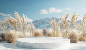 Winter landscape podium photo