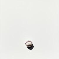 Small, smooth, pale white object with reddish-brown stripes photo