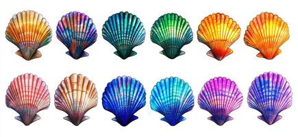 A set of colorful shells with different colors photo