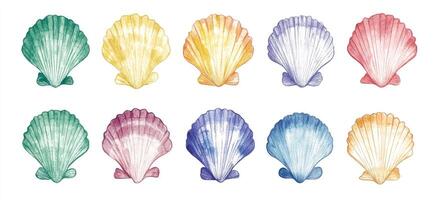 Watercolor shell set with different colors photo