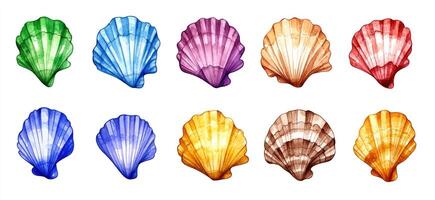 A set of colored shells on a white background photo