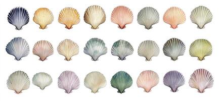 Assorted Scallop Shells in Vibrant Hues photo