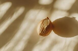 Open coconut shell, sunlit shadows photo