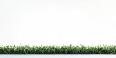Trimmed Grass Border Against a White Wall photo