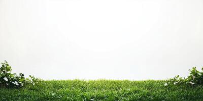 Lush green grass with foliage border photo