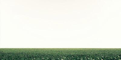 Vast field of green vegetation under a clear sky photo