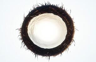 Coconut shell, a hollow circle photo