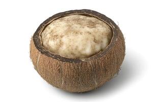 Halved coconut with inner flesh photo