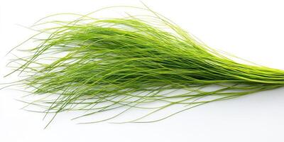 Lush Green Grass Tuft photo