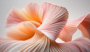 Abstract Coral-Like Forms photo