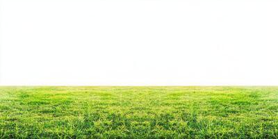 Lush Green Grass Field photo