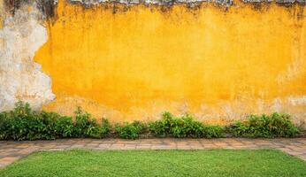 Aged yellow wall with greenery photo