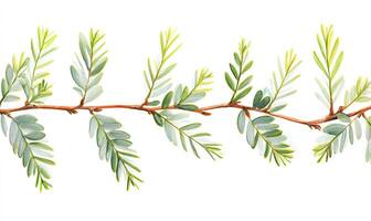Delicate branch with vibrant leaves photo