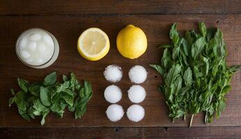 Fresh lemonade and mint ingredients photo