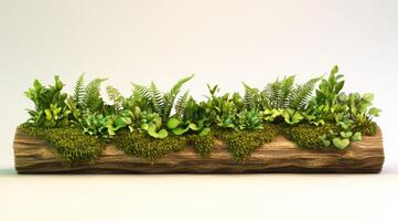 Planted log garden, lush greenery photo