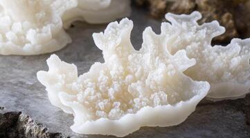 Delicate, sculpted edible forms photo