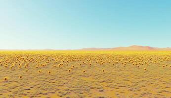 Vast, sun-drenched desert field dotted with small, vibrant flowers photo
