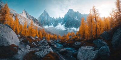 A mountain stream in the middle of a forest photo