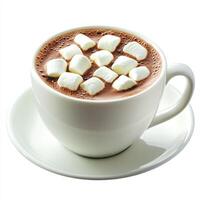 A cup of hot chocolate with marshmallows on top photo