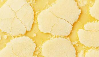 Close-up of cracked, pale yellow, round shapes on a textured surface photo