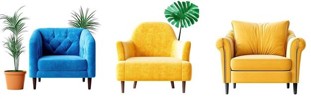 Colorful Armchairs with Plants photo