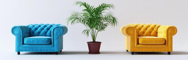 Two Colorful Armchairs with a Palm Tree photo