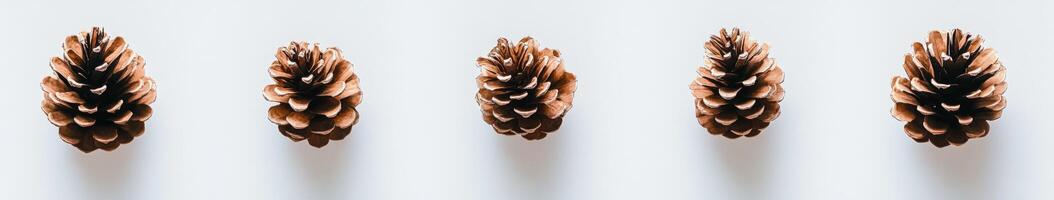 Four Pine Cones on White Background photo