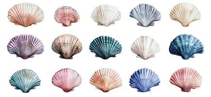 Assorted Scallop Shells in Pastel Hues photo