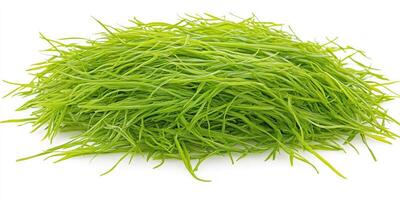Fresh, vibrant green grass sprigs photo