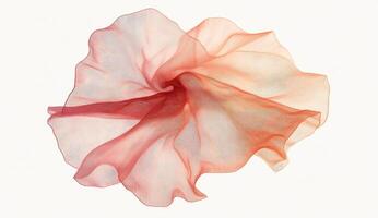 Delicate, flowing scarf in shades of coral and peach photo
