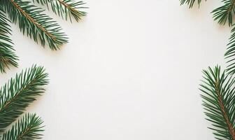 Simple Christmas Fir Branches Border photo